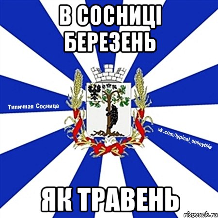В СОСНИЦІ БЕРЕЗЕНЬ ЯК ТРАВЕНЬ