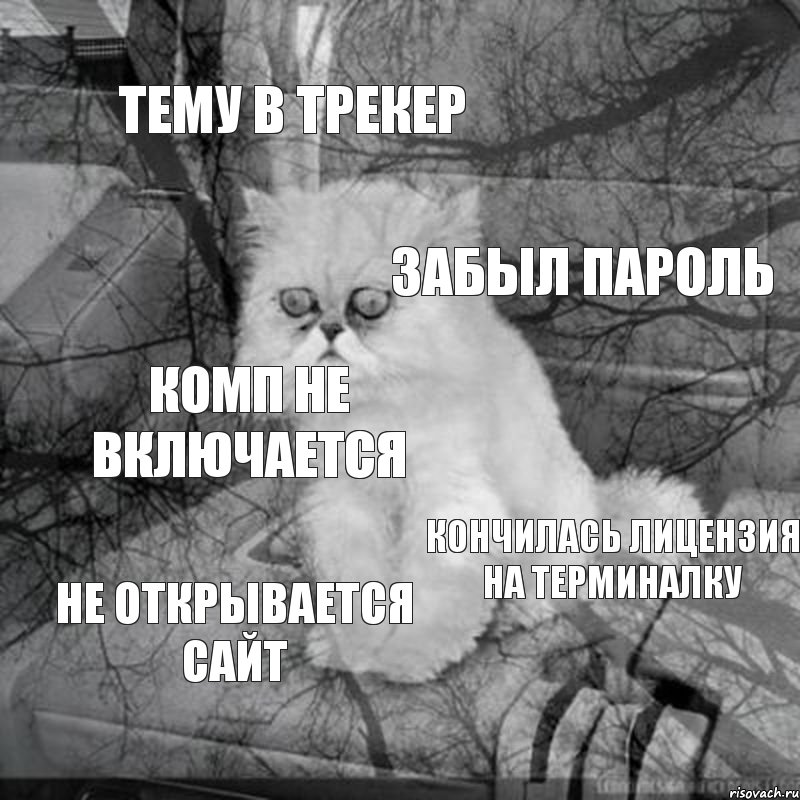 тему в трекер забыл пароль комп не включается кончилась лицензия на терминалку не открывается сайт