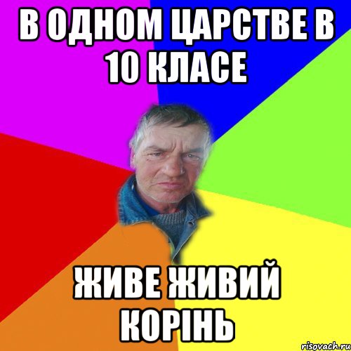 в одном царстве в 10 класе Живе живий корінь