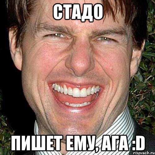 стадо пишет ему, ага :D, Мем Том Круз