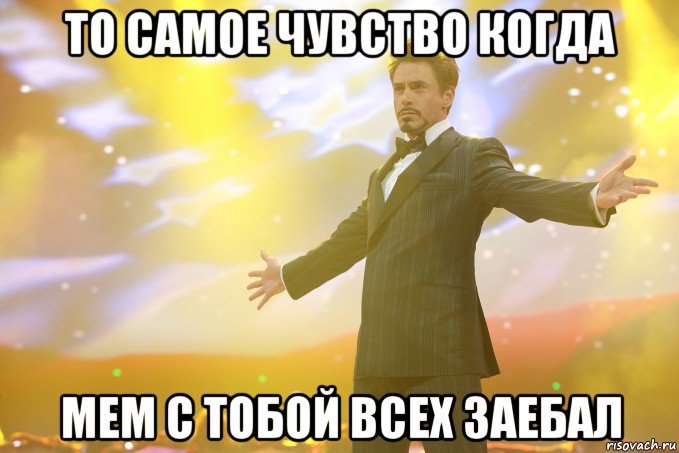 ТО САМОЕ ЧУВСТВО КОГДА МЕМ С ТОБОЙ ВСЕХ ЗАЕБАЛ, Мем Тони Старк (Роберт Дауни младший)