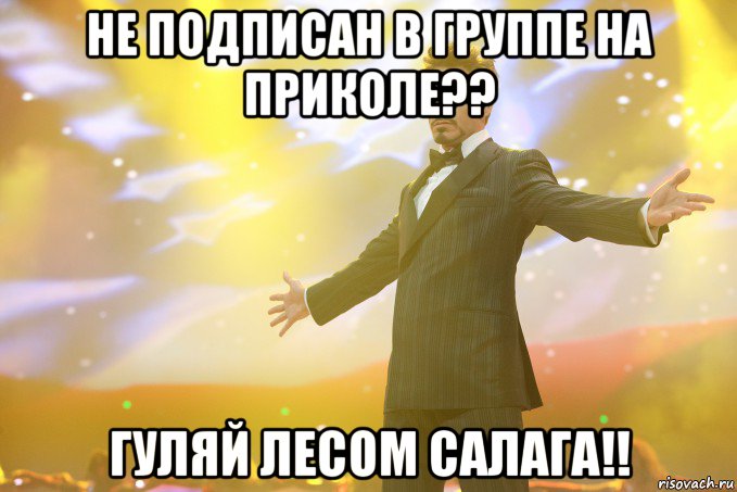 не подписан в группе на приколе?? гуляй лесом салага!!, Мем Тони Старк (Роберт Дауни младший)