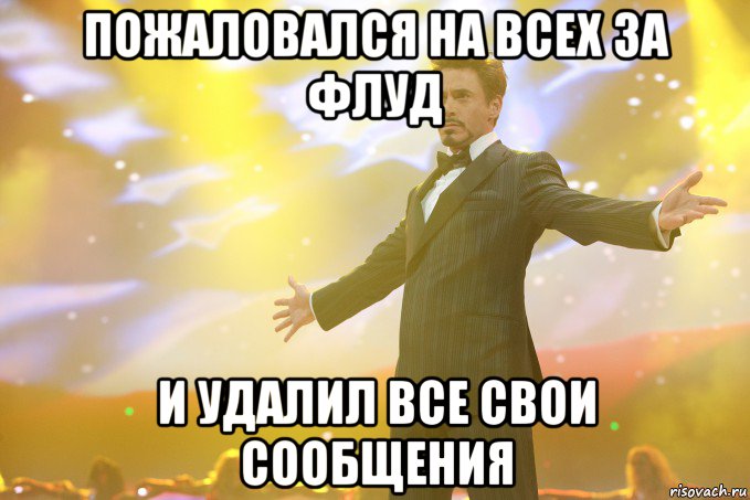 Пожаловался на всех за флуд И удалил все свои сообщения, Мем Тони Старк (Роберт Дауни младший)