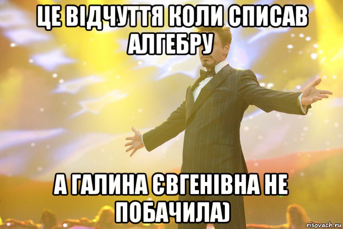 це відчуття коли списав алгебру а Галина Євгенівна не побачила), Мем Тони Старк (Роберт Дауни младший)