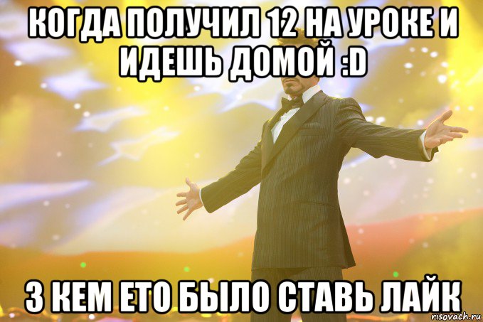 Когда получил 12 на уроке и идешь домой :D З кем ето было ставь лайк, Мем Тони Старк (Роберт Дауни младший)