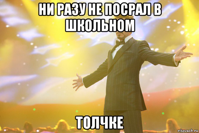 НИ РАЗУ НЕ ПОСРАЛ В ШКОЛЬНОМ ТОЛЧКЕ, Мем Тони Старк (Роберт Дауни младший)