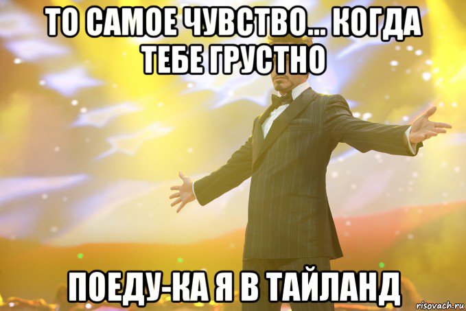 то самое чувство... когда тебе грустно поеду-ка я в Тайланд, Мем Тони Старк (Роберт Дауни младший)