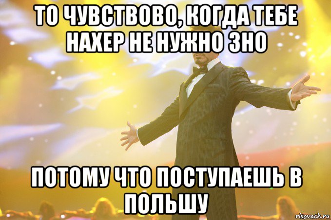 то чувствово, когда тебе нахер не нужно ЗНО потому что поступаешь в Польшу, Мем Тони Старк (Роберт Дауни младший)