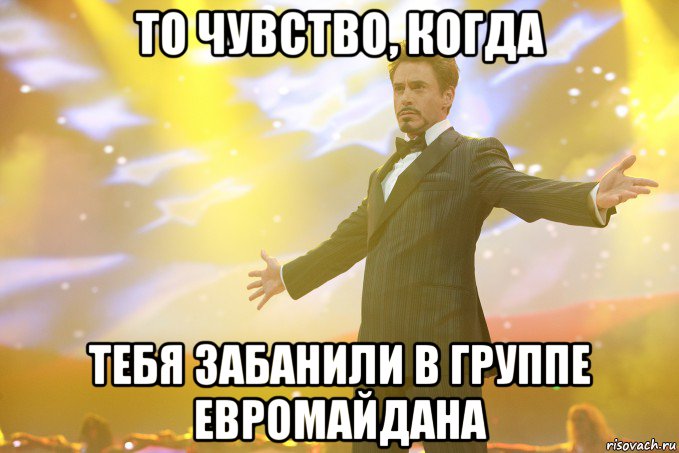 То чувство, когда тебя забанили в группе евромайдана, Мем Тони Старк (Роберт Дауни младший)