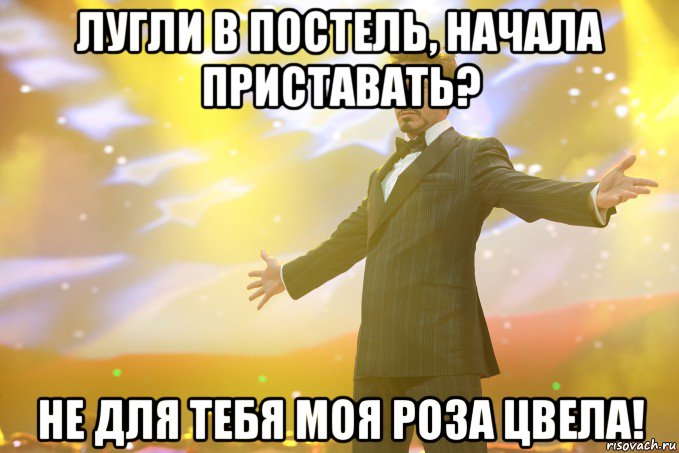 Лугли в постель, начала приставать? НЕ ДЛЯ ТЕБЯ МОЯ РОЗА ЦВЕЛА!, Мем Тони Старк (Роберт Дауни младший)