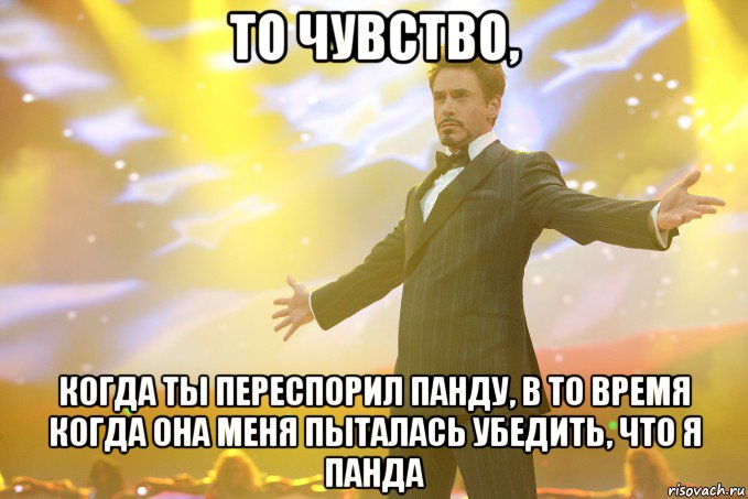 То чувство, когда ты переспорил панду, в то время когда она меня пыталась убедить, что я панда, Мем Тони Старк (Роберт Дауни младший)