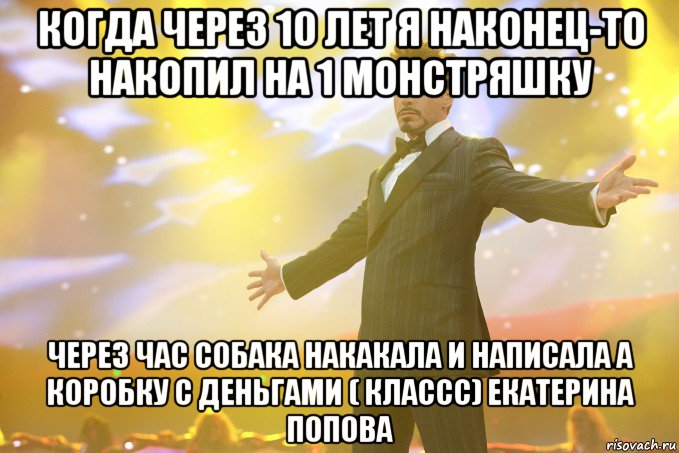 КОГДА ЧЕРЕЗ 10 ЛЕТ Я НАКОНЕЦ-ТО НАКОПИЛ НА 1 МОНСТРЯШКУ ЧЕРЕЗ ЧАС СОБАКА НАКАКАЛА И НАПИСАЛА А КОРОБКУ С ДЕНЬГАМИ ( КЛАССС) ЕКАТЕРИНА ПОПОВА, Мем Тони Старк (Роберт Дауни младший)