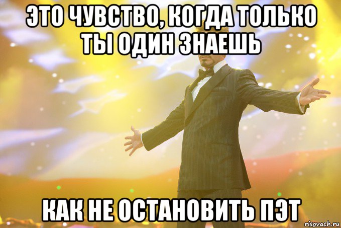 это чувство, когда ТОЛЬКО ты один знаешь КАК НЕ ОСТАНОВИТЬ ПЭТ, Мем Тони Старк (Роберт Дауни младший)