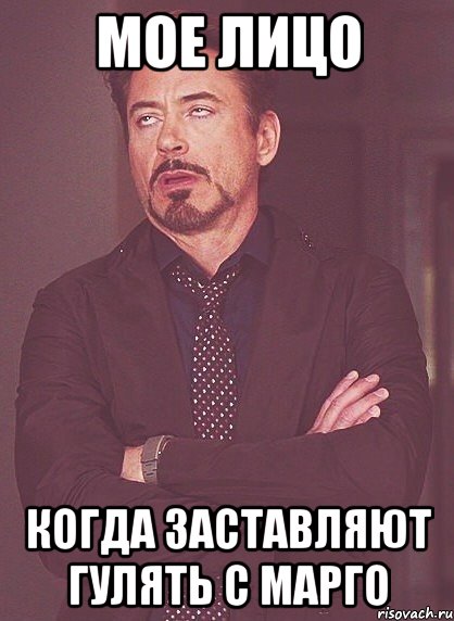 Мое лицо Когда заставляют гулять с Марго, Мем твое выражение лица