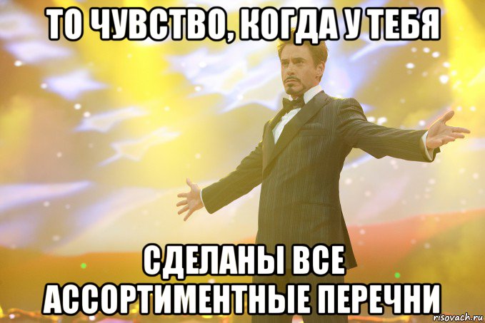 то чувство, когда у тебя сделаны все ассортиментные перечни, Мем Тони Старк (Роберт Дауни младший)