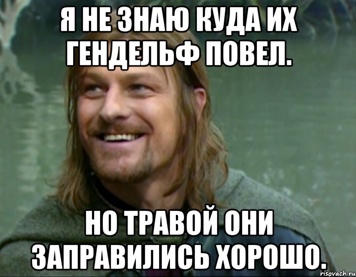 Я не знаю куда их Гендельф повел. Но травой они заправились хорошо., Мем Тролль Боромир