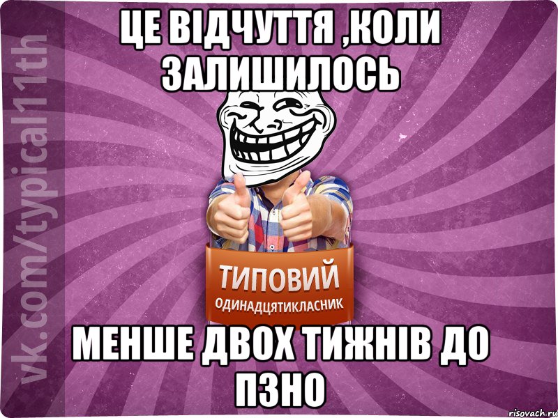 Це відчуття ,коли залишилось менше двох тижнів до ПЗНО