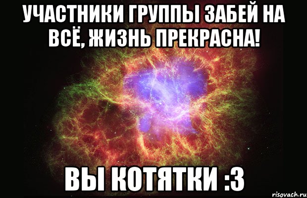 Участники группы Забей на всё, жизнь прекрасна! Вы котятки :3, Мем Туманность