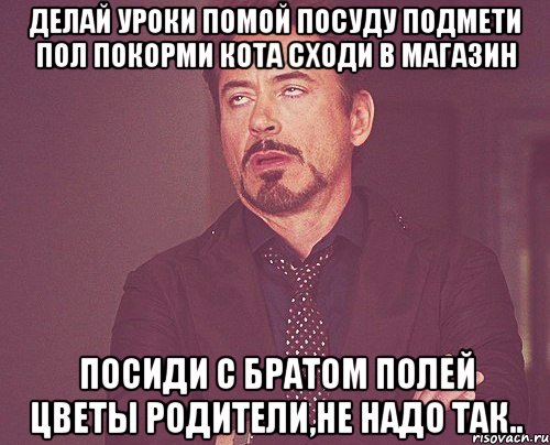 делай уроки помой посуду подмети пол покорми кота сходи в магазин посиди с братом полей цветы Родители,не надо так.., Мем твое выражение лица