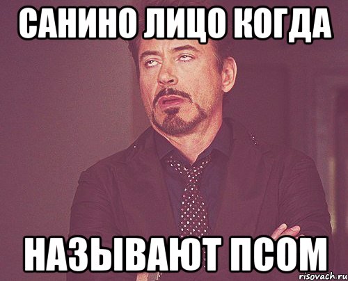 САНИНО ЛИЦО КОГДА НАЗЫВАЮТ ПСОМ, Мем твое выражение лица