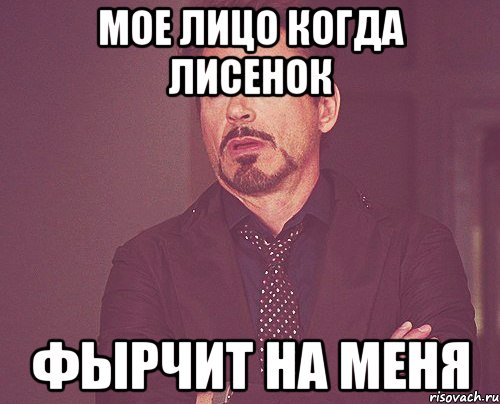 Мое лицо когда Лисенок фырчит на меня, Мем твое выражение лица