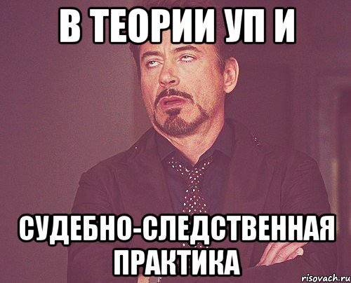 в теории УП и судебно-следственная практика, Мем твое выражение лица