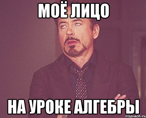 МОЁ ЛИЦО НА УРОКЕ АЛГЕБРЫ, Мем твое выражение лица