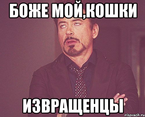 Боже мой,кошки Извращенцы, Мем твое выражение лица