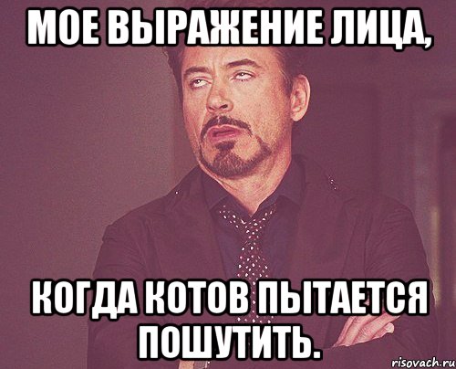 Мое выражение лица, Когда Котов пытается пошутить., Мем твое выражение лица