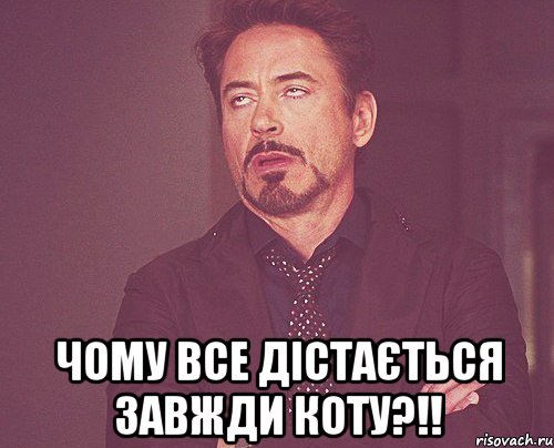  Чому все дістається завжди коту?!!, Мем твое выражение лица