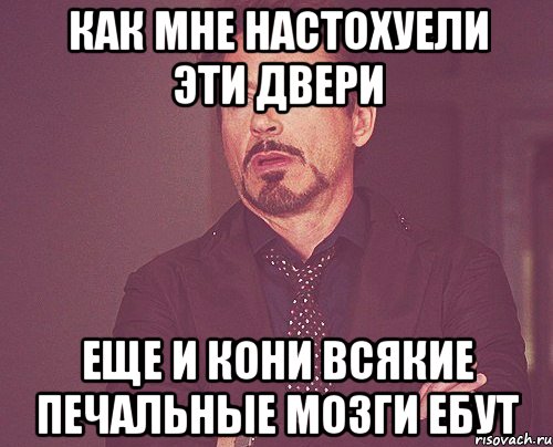 Как мне настохуели эти двери Еще и кони всякие печальные мозги ебут, Мем твое выражение лица