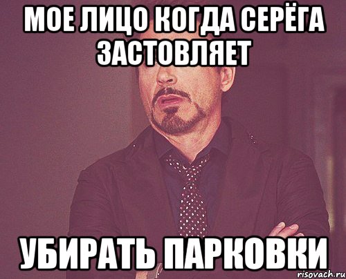 мое лицо когда Серёга застовляет убирать парковки, Мем твое выражение лица