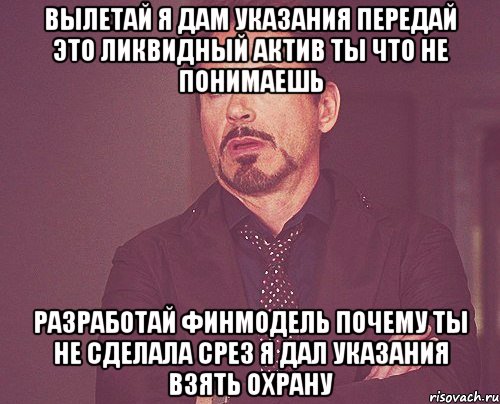 вылетай я дам указания передай это ликвидный актив ты что не понимаешь разработай финмодель почему ты не сделала срез я дал указания взять охрану, Мем твое выражение лица