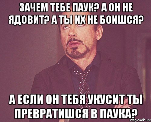 Зачем тебе паук? А он не ядовит? а ты их не боишся? А если он тебя укусит ты превратишся в паука?, Мем твое выражение лица