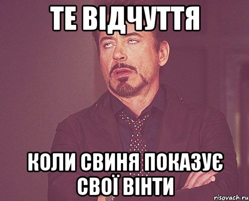 ТЕ ВІДЧУТТЯ КОЛИ СВИНЯ ПОКАЗУЄ СВОЇ ВІНТИ, Мем твое выражение лица