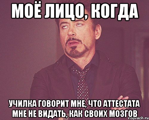 моё лицо, когда училка говорит мне, что аттестата мне не видать, как своих мозгов, Мем твое выражение лица