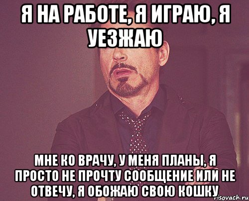 Я на работе, я играю, я уезжаю Мне ко врачу, у меня планы, я просто не прочту сообщение или не отвечу, я обожаю свою кошку, Мем твое выражение лица