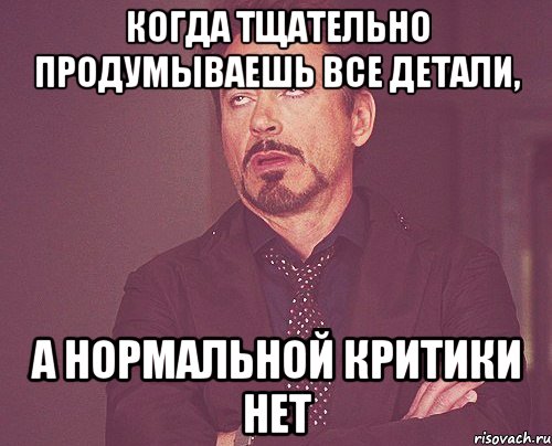 Когда тщательно продумываешь все детали, а нормальной критики нет, Мем твое выражение лица