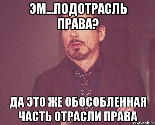 Эм...подотрасль права? Да это же обособленная часть отрасли права, Мем твое выражение лица