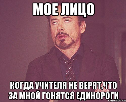 мое лицо когда учителя не верят,что за мной гонятся единороги, Мем твое выражение лица