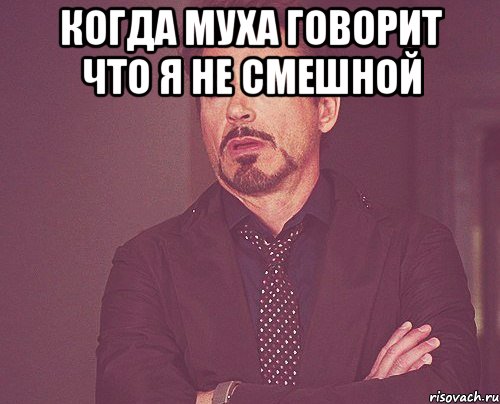 когда муха говорит что я не смешной , Мем твое выражение лица