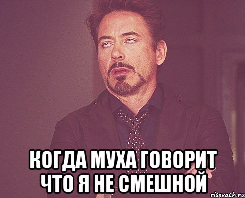  когда муха говорит что я не смешной, Мем твое выражение лица