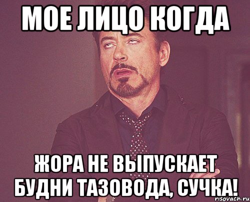 Мое лицо когда жора не выпускает будни тазовода, Сучка!, Мем твое выражение лица