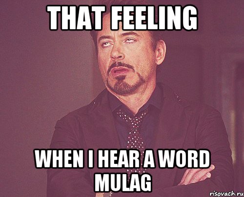 That feeling when I hear a word MULAG, Мем твое выражение лица