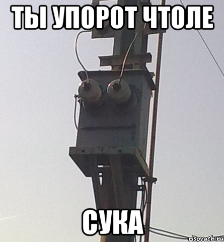 ты упорот чтоле сука, Мем ТЫ УПОРОТ ЧТО-ЛИ СУКА