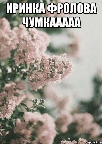 Иринка Фролова Чумкааааа 