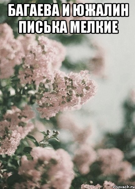 Багаева и Южалин Писька мелкие 