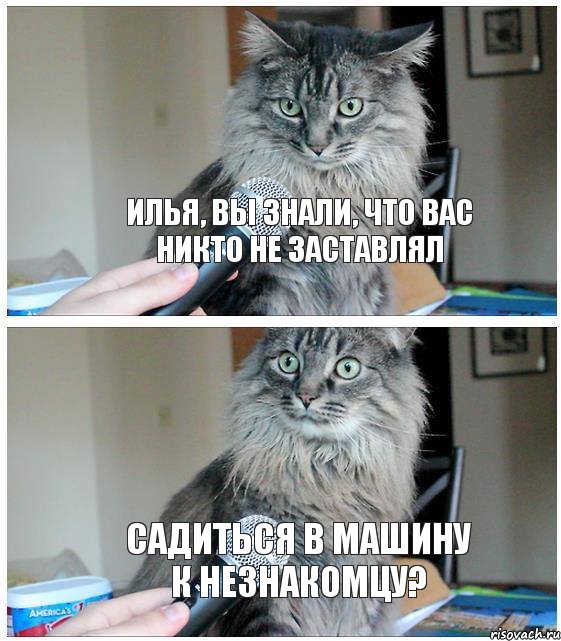 ИЛЬЯ, ВЫ ЗНАЛИ, ЧТО ВАС НИКТО НЕ ЗАСТАВЛЯЛ САДИТЬСЯ В МАШИНУ К НЕЗНАКОМЦУ?, Комикс  кот с микрофоном