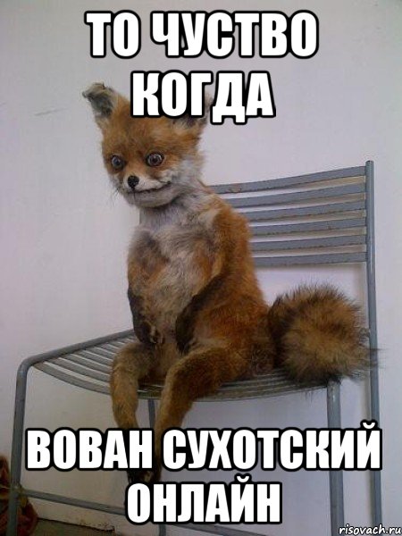 то чуство когда вован сухотский онлайн, Мем Упоротая лиса