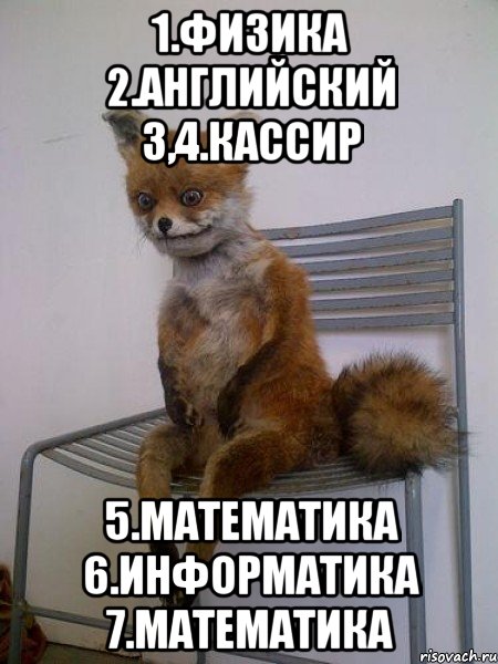 1.ФИЗИКА 2.АНГЛИЙСКИЙ 3,4.КАССИР 5.МАТЕМАТИКА 6.ИНФОРМАТИКА 7.МАТЕМАТИКА, Мем Упоротая лиса